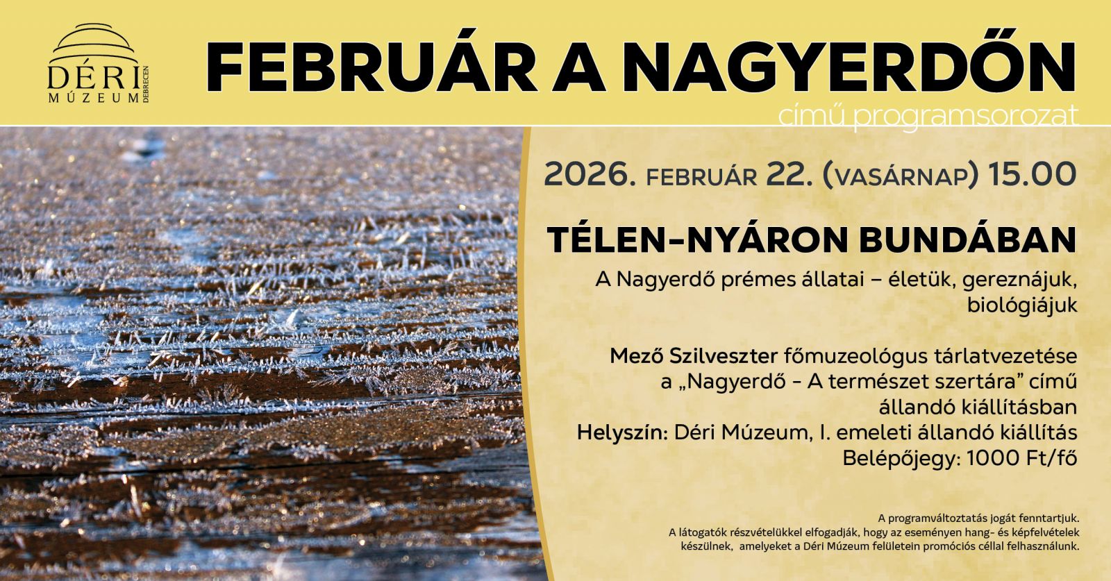 FEBRUÁR A NAGYERDŐN 4. rész