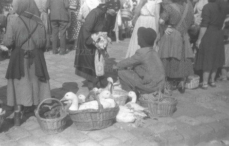 Baromfipiac, kacsavásár a Rákóczi utcán 1953. szeptember 1. Menyhárt József felvétele