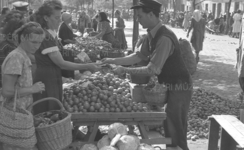 A háziasszony kifizeti a beszerzett krumplit a Rákóczi utcai zöldségpiacon 1953. szeptember 1. Béres András felvétele