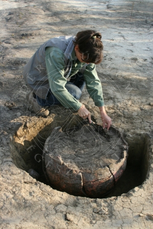 Neolit tárolóedény bontása. Polgár–Piócási-dűlő (2006) (Fotó: Bényei Zsolt)