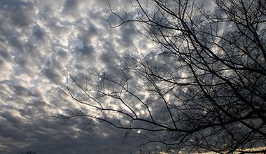 Február a Nagyerdőn