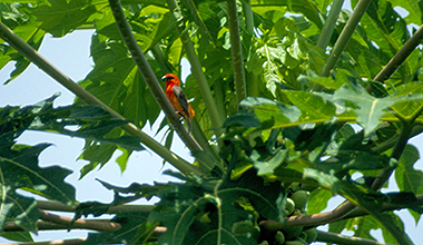 RÉUNION