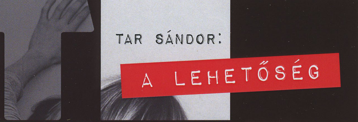 Tar Sándor: A lehetőség (hangjáték)