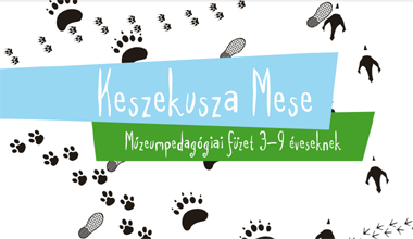 Aranyi Fruzsina: Keszekusza mese