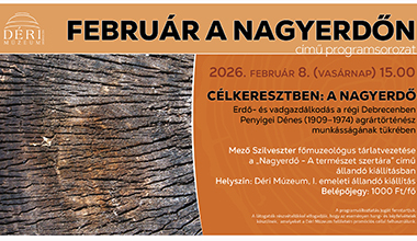 FEBRUÁR A NAGYERDŐN 2. rész