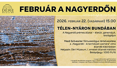 FEBRUÁR A NAGYERDŐN 4. rész