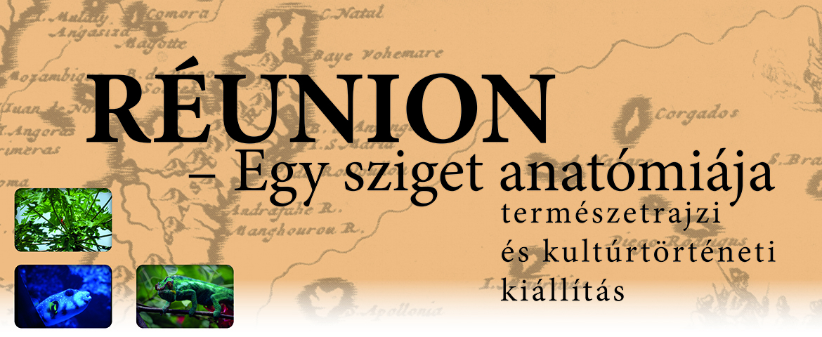 Egy sziget anatómiája 